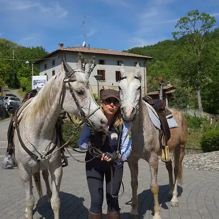 Circolo Ippico Parco Dello Stirone Bed & Breakfast