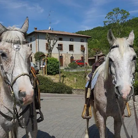 Bed & Breakfast Circolo Ippico Parco Dello Stirone